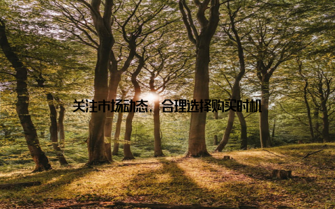 关注市场动态, 合理选择购买时机