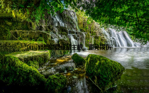 修剪时要保留主根, 避免损伤