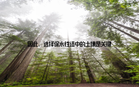 因此, 选择保水性适中的土壤是关键