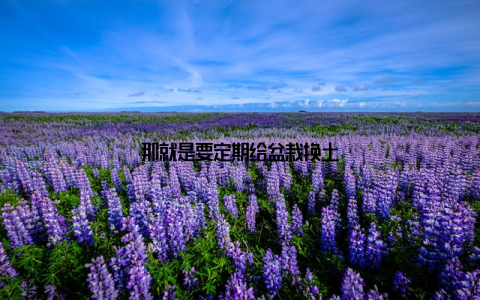 那就是要定期给盆栽换土