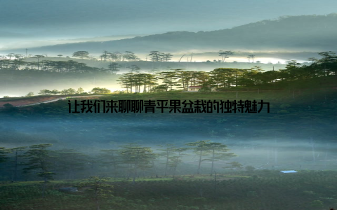 让我们来聊聊青平果盆栽的独特魅力