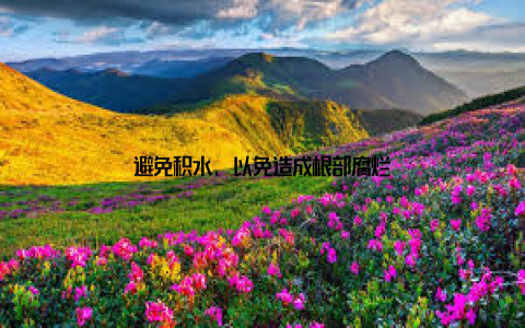 避免积水, 以免造成根部腐烂