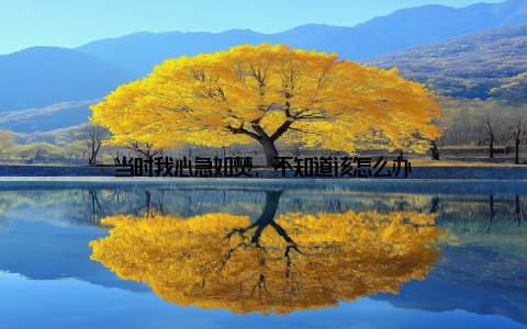 当时我心急如焚, 不知道该怎么办