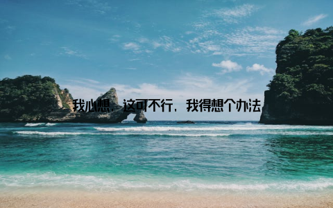 我心想, 这可不行, 我得想个办法