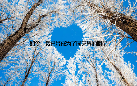 如今, 我已经成为了园艺界的明星