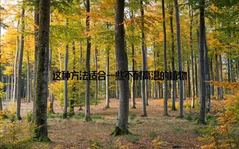 这种方法适合一些不耐高温的植物