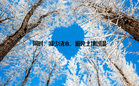 同时, 减少浇水, 避免土壤过湿