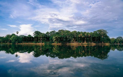 准备材料花盆、泥炭土、发芽的生姜芽