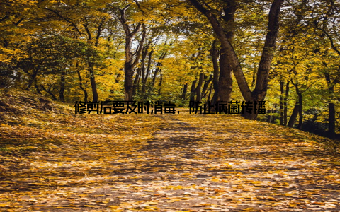 修剪后要及时消毒, 防止病菌传播