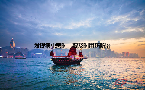 发现病虫害时, 要及时用药防治