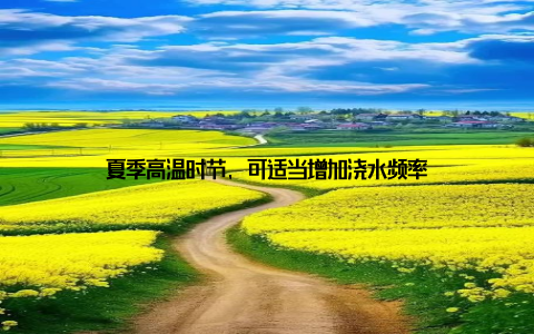 夏季高温时节, 可适当增加浇水频率