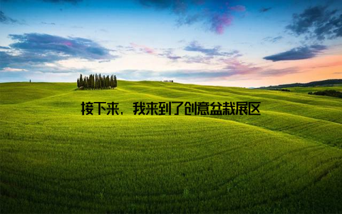 接下来, 我来到了创意盆栽展区