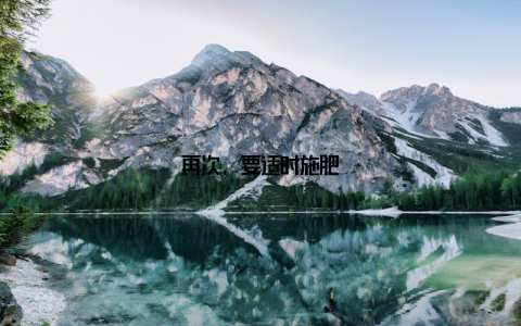 再次, 要适时施肥