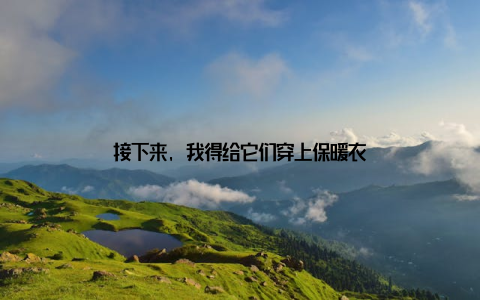 接下来, 我得给它们穿上保暖衣