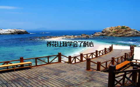 养花让我学会了耐心