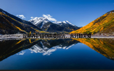 定期养护植物需要阳光、水分和关爱