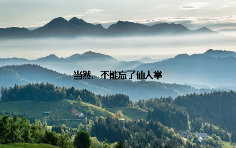 当然, 不能忘了仙人掌