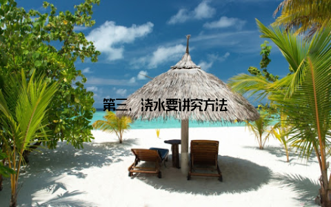 第三, 浇水要讲究方法