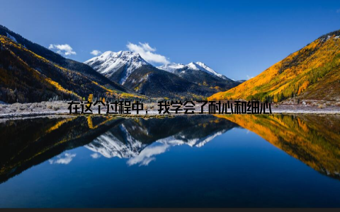 在这个过程中, 我学会了耐心和细心