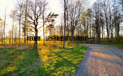 我知道, 这份情感将会伴随我一生