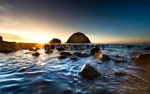 夏季可适当增加浇水频率