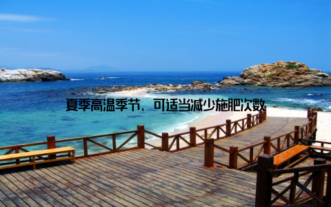 夏季高温季节, 可适当减少施肥次数