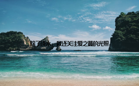 除了浇水, 我还关注爱之蔓的光照