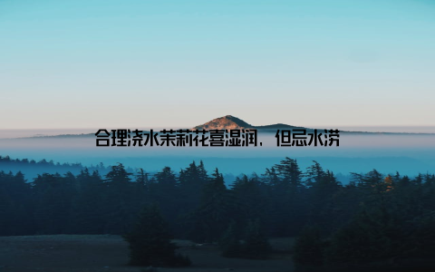 合理浇水茉莉花喜湿润, 但忌水涝