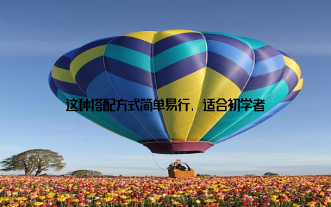 这种搭配方式简单易行, 适合初学者