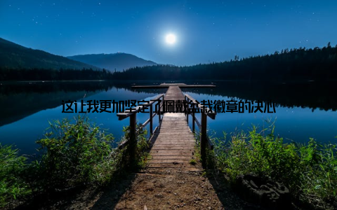 这让我更加坚定了佩戴盆栽徽章的决心