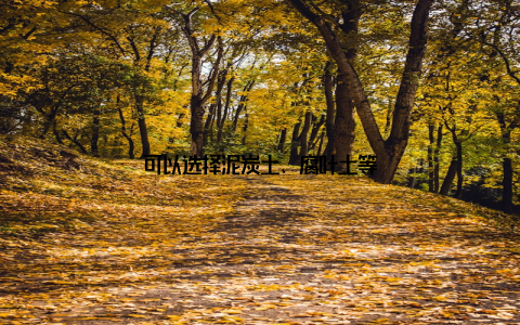 可以选择泥炭土、腐叶土等