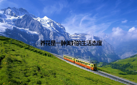 , 养花是一种美好的生活态度