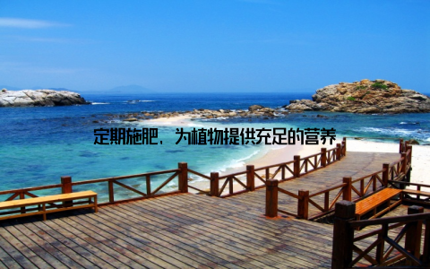 定期施肥, 为植物提供充足的营养