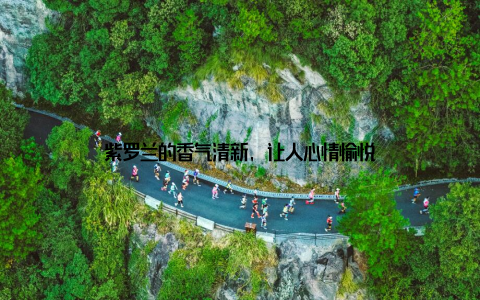 紫罗兰的香气清新, 让人心情愉悦