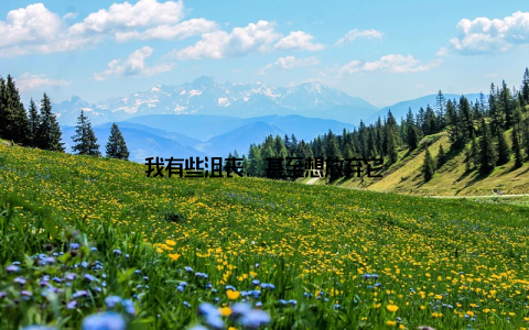 我有些沮丧, 甚至想放弃它