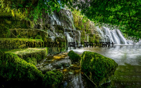 可以选择泥炭土、腐叶土等作为培养土