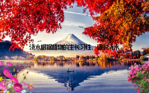 浇水根据植物的生长习性, 适时浇水