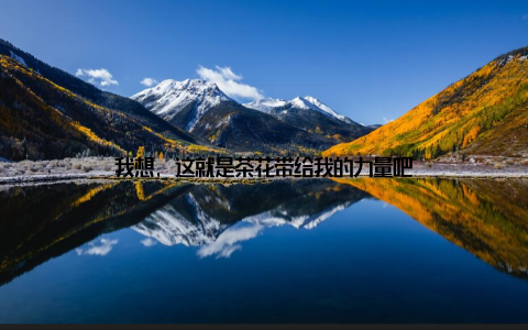 我想, 这就是茶花带给我的力量吧