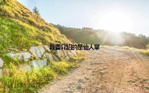 我要介绍的是仙人掌