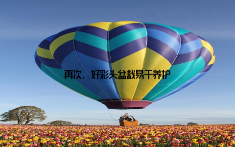 再次, 好彩头盆栽易于养护