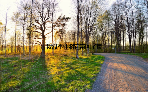 我忍不住将它带回了家