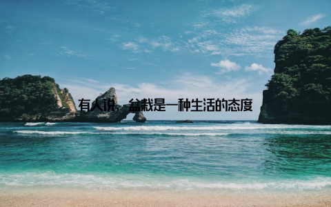 有人说, 盆栽是一种生活的态度