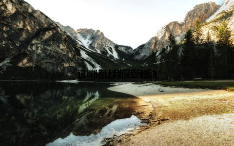 这句话让我深受触动