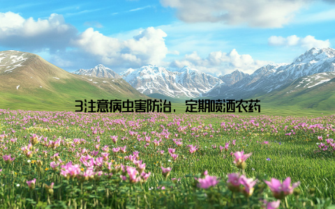 3注意病虫害防治, 定期喷洒农药