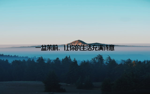 一盆茉莉, 让你的生活充满诗意