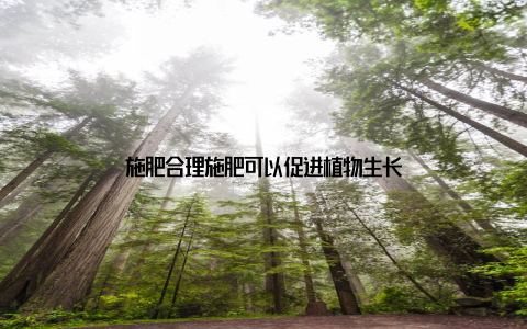 施肥合理施肥可以促进植物生长