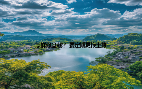 怎样修盆栽? 要定期更换土壤