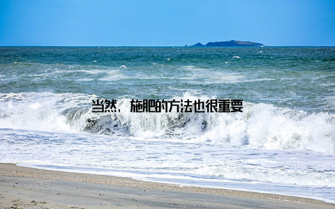 当然, 施肥的方法也很重要