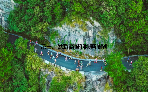 第三, 盆栽商城的服务周到