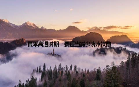 夏季高温时期, 要适当减少浇水次数